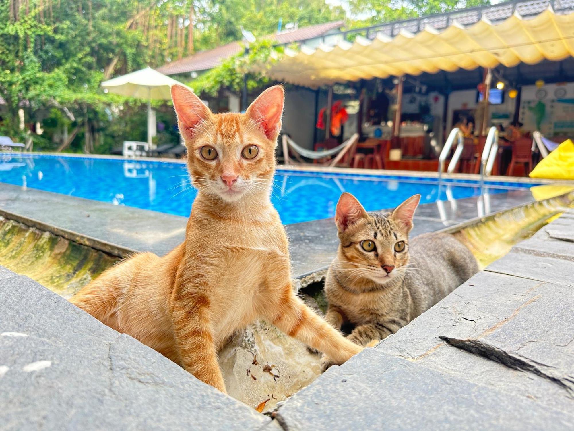 Villa Have Fun Phu Quoc Exterior foto